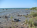 Western Michigan [2010] 839